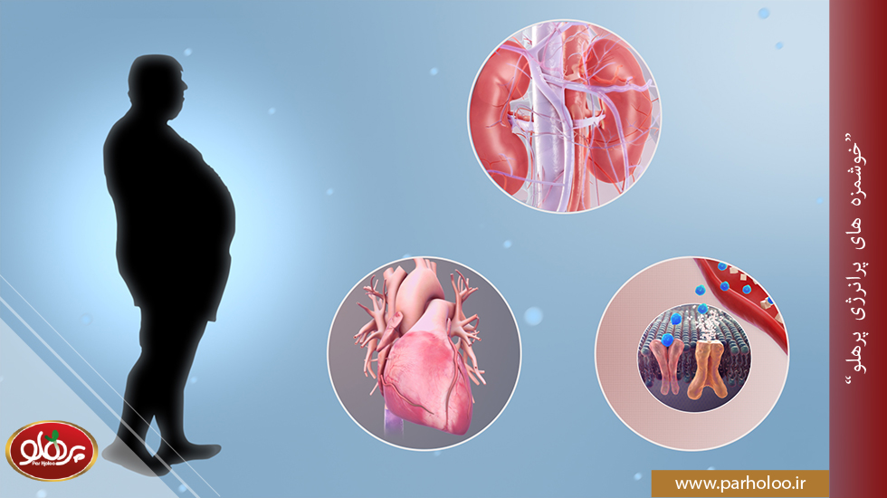 تاثیر ارده شیره برای لاغری و سوخت و ساز بدن | پرهلو ارده شیره برای لاغر شدن چه تاثیری بر متابولیسم بدن دارد | پرهلو