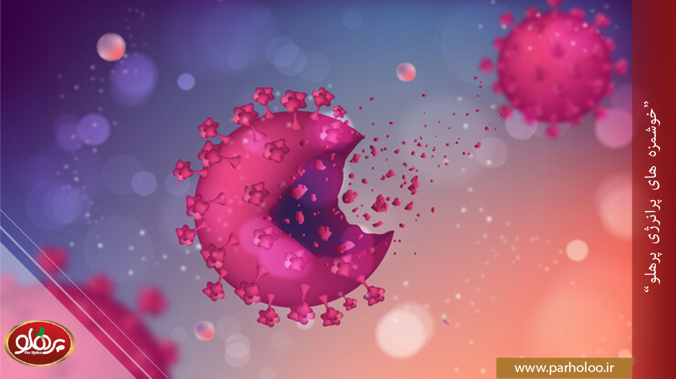 اثرات ضد سرطانی ارده | پرهلو بهترین ارده با خواص ضد سرطانی کدام است | پرهلو